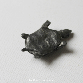 miniatuur schildpad