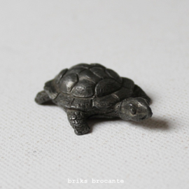 miniatuur schildpad