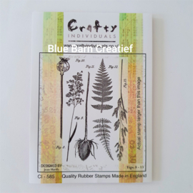 Rubber Stamp - Crafty Individuals - Ferns & Grasses 2