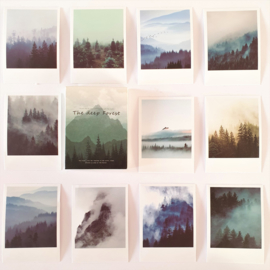 Polaroid Stickers - The Deep Forest