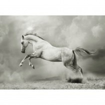 White Horse  A1