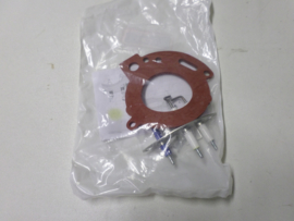 Bosch elektrodenset 87181070870