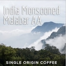 India Monsooned Malabar AA