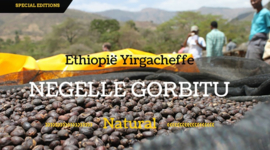Ethiopie ‘Negelle Gorbitu’ natural / honey