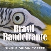 Brasil / Brazilië Bandeirante (dark)