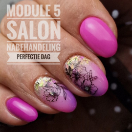 Moderne Nagelstyliste Module 5 SALON NABEHANDELING van 10.00 tot 16.30