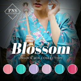 Blossom