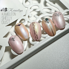 Korneliya Kameleon Shelly Dust Set met 5 Stuks