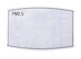PNS FaceMask Filter (2stuks)