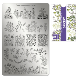 Moyra Stamping Plate 91 Spicery