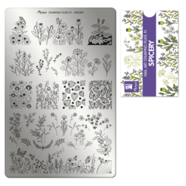 Moyra Stamping Plate 91 SPICERY