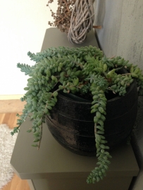 Open haard schouw / kast "Abruzzo" Mia Colore