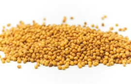 Bai Jie Zi - Semen Sinapis Albae - Mustard Seed 100gr