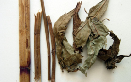 Ze Lan - Herba Lycopi - Hirsute Shiny Bugleweed Herb - 100gr