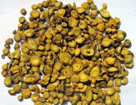 Huang Qin  - Radix Scutellariae - Basical Skullcap Root 100gr