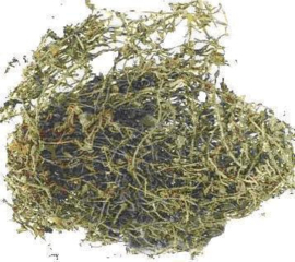 Chui Pen Cao - Herba Sedi - Stringy Stonecrop Herb 100gr