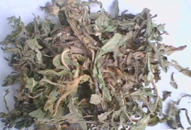 Che Qian Cao - Herba Plantaginis - Plantain herb 100 gr