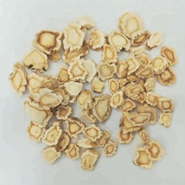 Jie geng - Radix platycodi - Platycodon root - 100 gr