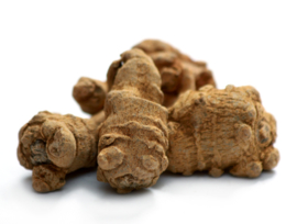 San Qi ( Tian Qi )- Radix Notoginseng Whole Tail - Sanchi - 100gr