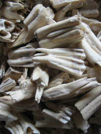 Long Chi Sheng - Fossilia Dentis Mastodi - Dragon's Tteeth  100gr