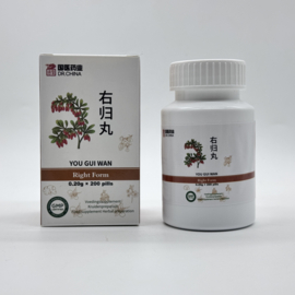 You Gui Wan - Right Form 右归丸