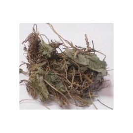 Xi Xin - Herba cum Radix Asari - Chinese Wild Ginger - 100gr