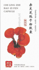 Chi ling zhi bao zi fen - Ganoderma spore capsule