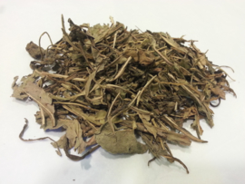 Da Qing Ye - Folium Isatidis - Dyers Woad Leaf 100gr