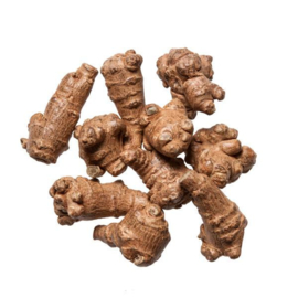 San Qi ( Tian Qi )- Radix Notoginseng Whole Tail - Sanchi - 100gr