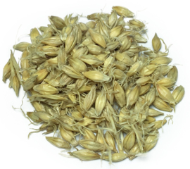 Mai Ya - Fructus Hordei Germinatus - Germinated Barley - 100gr