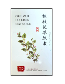 Gui Zhi Fu Ling Wan - Uter Form