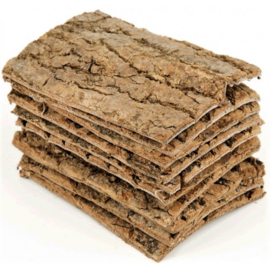 Du Zhong sheng - Cortex eucommiae - Eucommia bark 100 gr