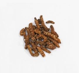 Jiang Can - Bombyx Batryticatus - Silkworm 100gr