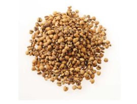 yi yi ren (Chao) - Semen coicis - coix seed Preparate - 薏苡仁(炒) 100 GR