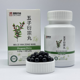 Wu Zi Yan Zong Wan - Progeny Form 五子衍宗丸