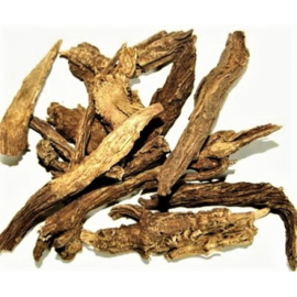 Xu Duan - Radix Dipsaci - Himalayan Teasel Root - 100gr