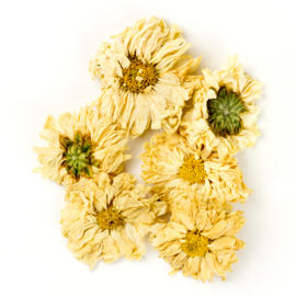 Ju Hua - Flos Chrysanthemi - Chrysanthemum Flower 100gr