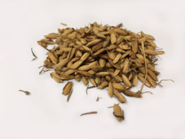 Gu Ya Chao - Fructus Setariae Germinatus Preparata - Millet Sprout Prepared 100gr