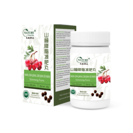 Shan zha jiang zhi jian fei wan - Slimming Form - 山幢降脂减肥丸