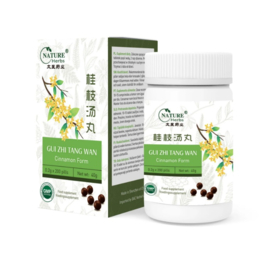 Gui Zhi Tang Wan - Cinnamon Form -  桂枝汤丸