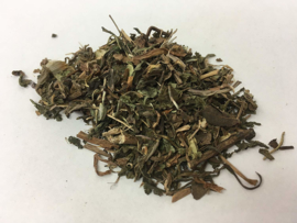 Pu Gong Ying - Herba Taraxaci - Dandelion - 100gr