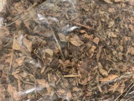 Guang Huo Xiang - Pogostemon cablin herb - 廣藿香 - 100gr