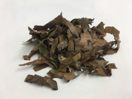 Pi Pa Ye - Folium Eriobotryae - Loquat Leaf - 100gr