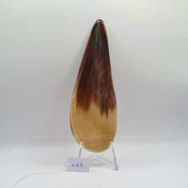 Guasha ox horn ox-3