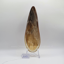 Guasha ox horn ox-5