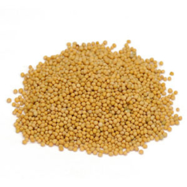 Bai Jie Zi - Semen Sinapis Albae - Mustard Seed 100gr