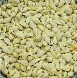 Ju He - Semen Citri Reticulatae - Tangerine Seed 100gr