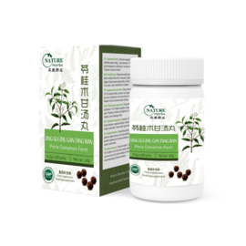 Ling Gui Zhu Gan Tang Wan - Poria Cinnamon Form - 苓桂朮甘汤丸