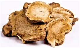 Du Huo - Radix Angelicae Pubescentis - Doubleteeth Pubescent Angelica Root 100gr
