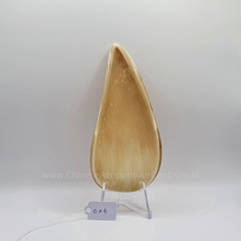 Guasha ox horn ox-6